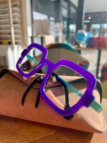 Nouveautés la Brique et la Violette